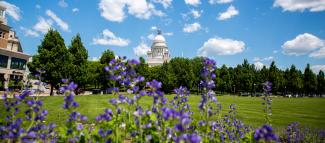 Dome of the Rhode Island state house with flowers and trees in the foreground
